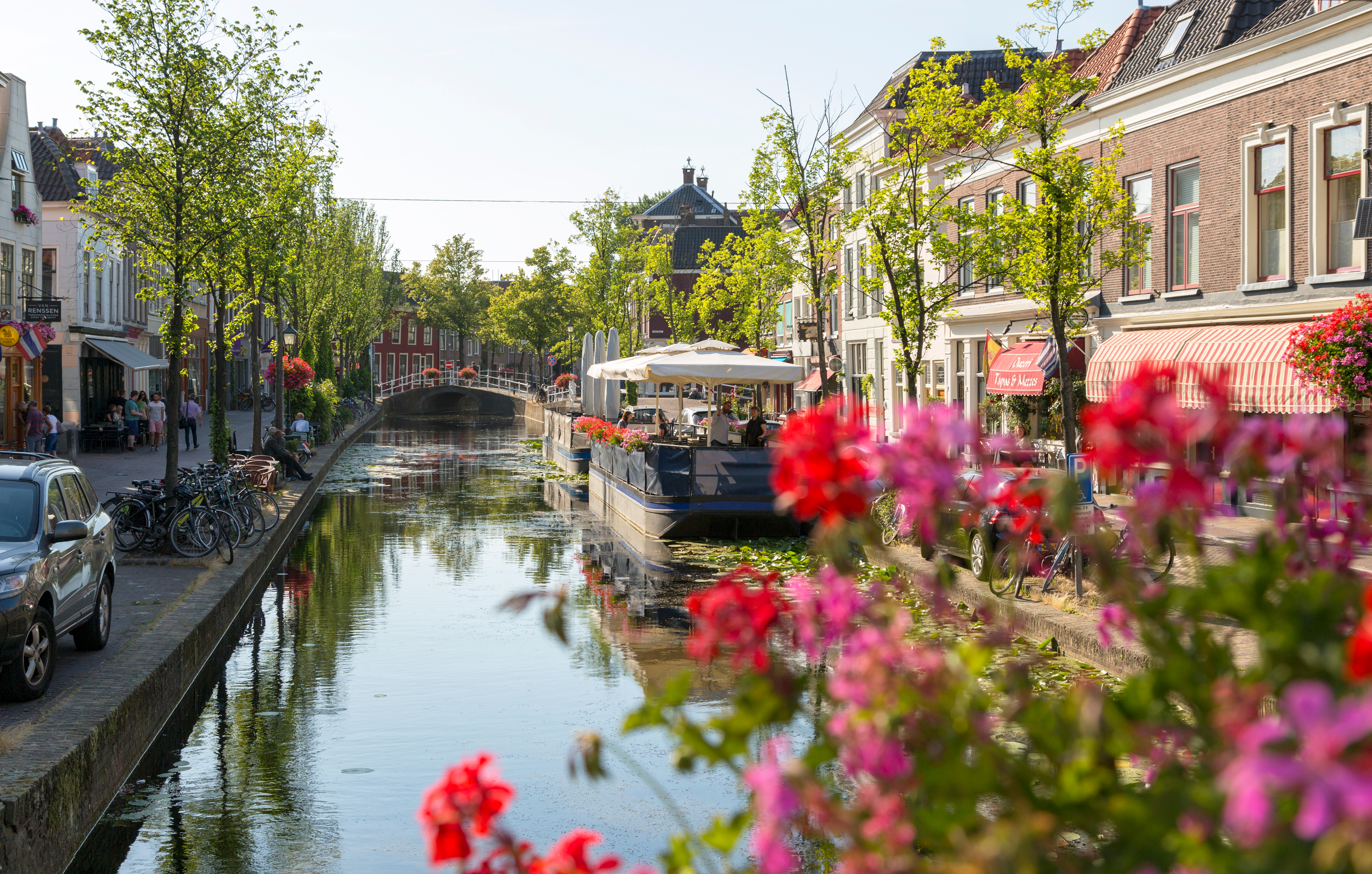 Delft